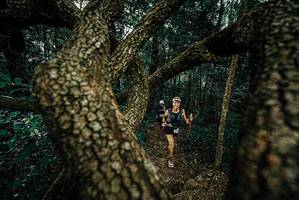 BIB: 
                            <button type="button" onclick="openModal(25697068)" class="btn btn-primary btn-sm float-right btn-popup" data-toggle="modal" data-target=".modal-high-quality">
                        <i class="fas fa-shopping-cart"></i> Add to Cart
                    </button>
                                            <button type="button" onclick="isThisMe(25697068, true)" class="btn btn-success btn-sm float-right btn-popup btn-isme hidden" data-toggle="tooltip" data-placement="bottom" title="นี่คือรูปของคุณใช่ไหม คลิกที่นี่เพื่อเอาเข้าอัลบั้ม">
                        <i class="fas fa-plus"></i> Add to album
                    </button>
                    <button type="button" onclick="isThisMe(25697068, false)" class="btn btn-warning btn-sm float-right btn-popup btn-isnotme hidden">
                        <i class="fas fa-ban"></i> Remove from album
                    </button>